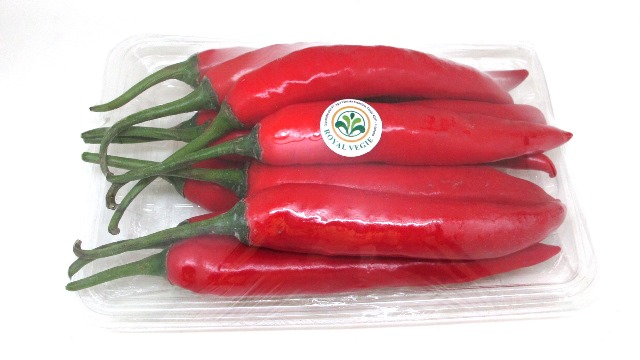 Cabe Merah Besar