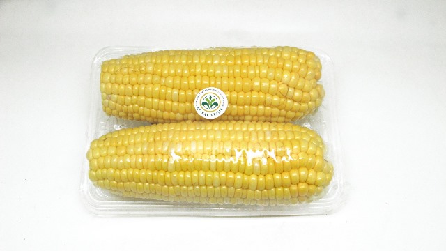 Jagung Manis