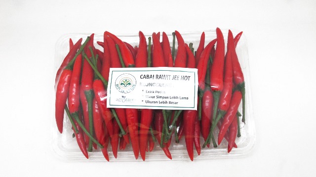 Jee Hot Merah
