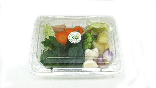 Sayur Sop