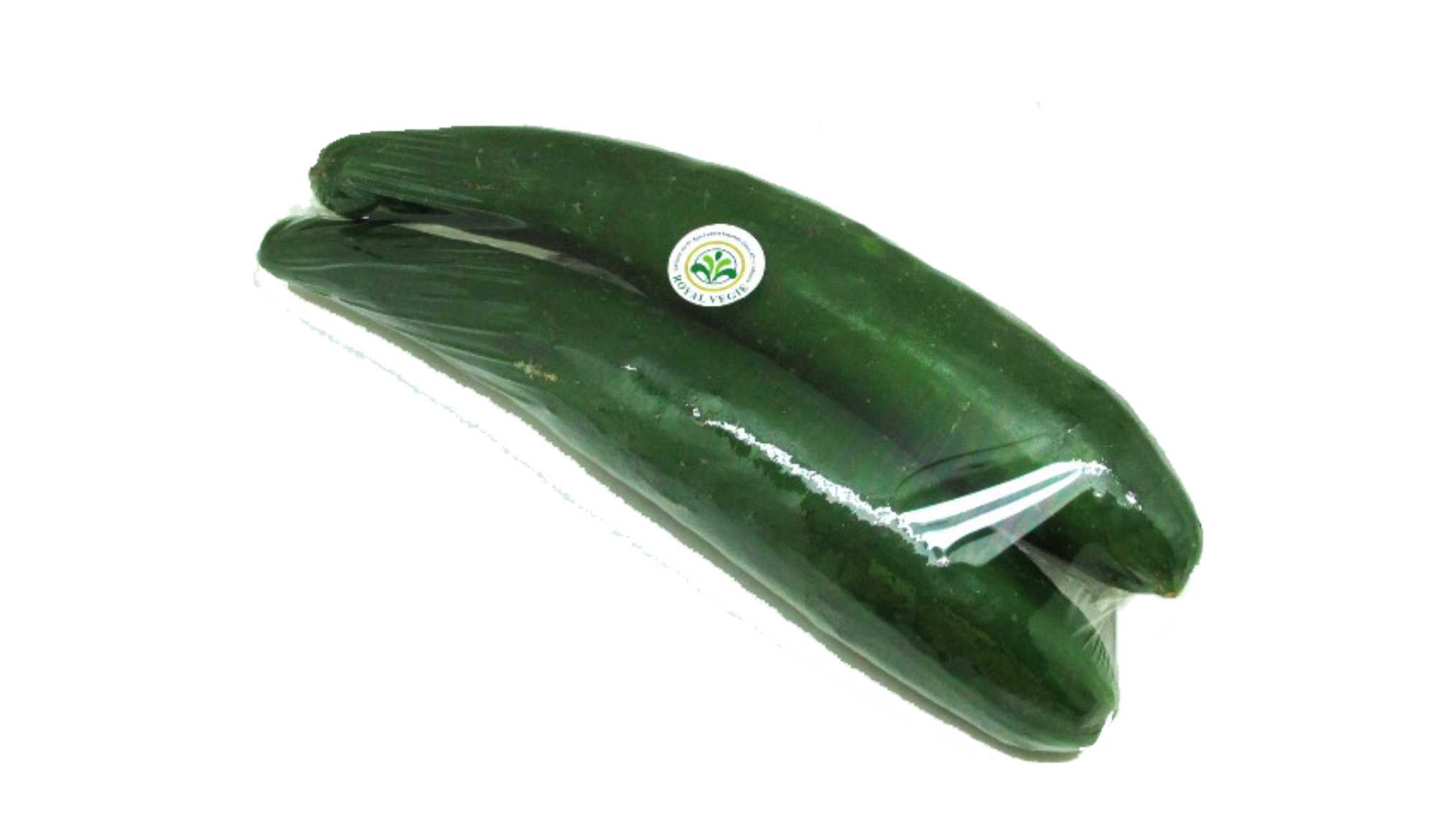 Timun Jepang