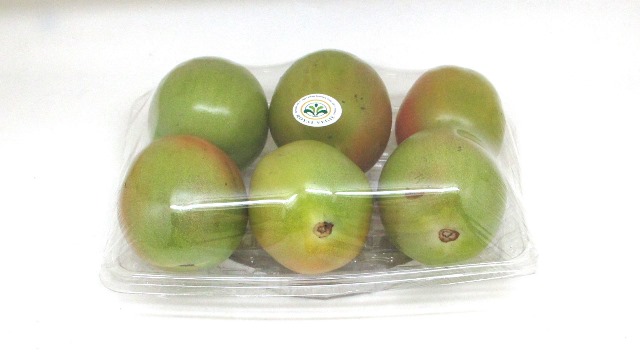 Tomat Hijau